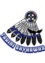 Takini Skyhawks Logo