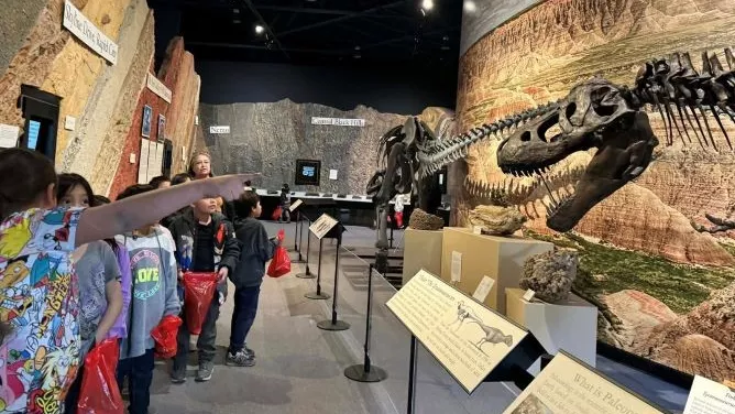 Students gather at Journey Museum, excitedly observing a dinosaur exhibit filled with impressive fossils and models.